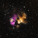 Illustration for article titled Companion to a Supernova